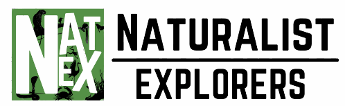 NatEx