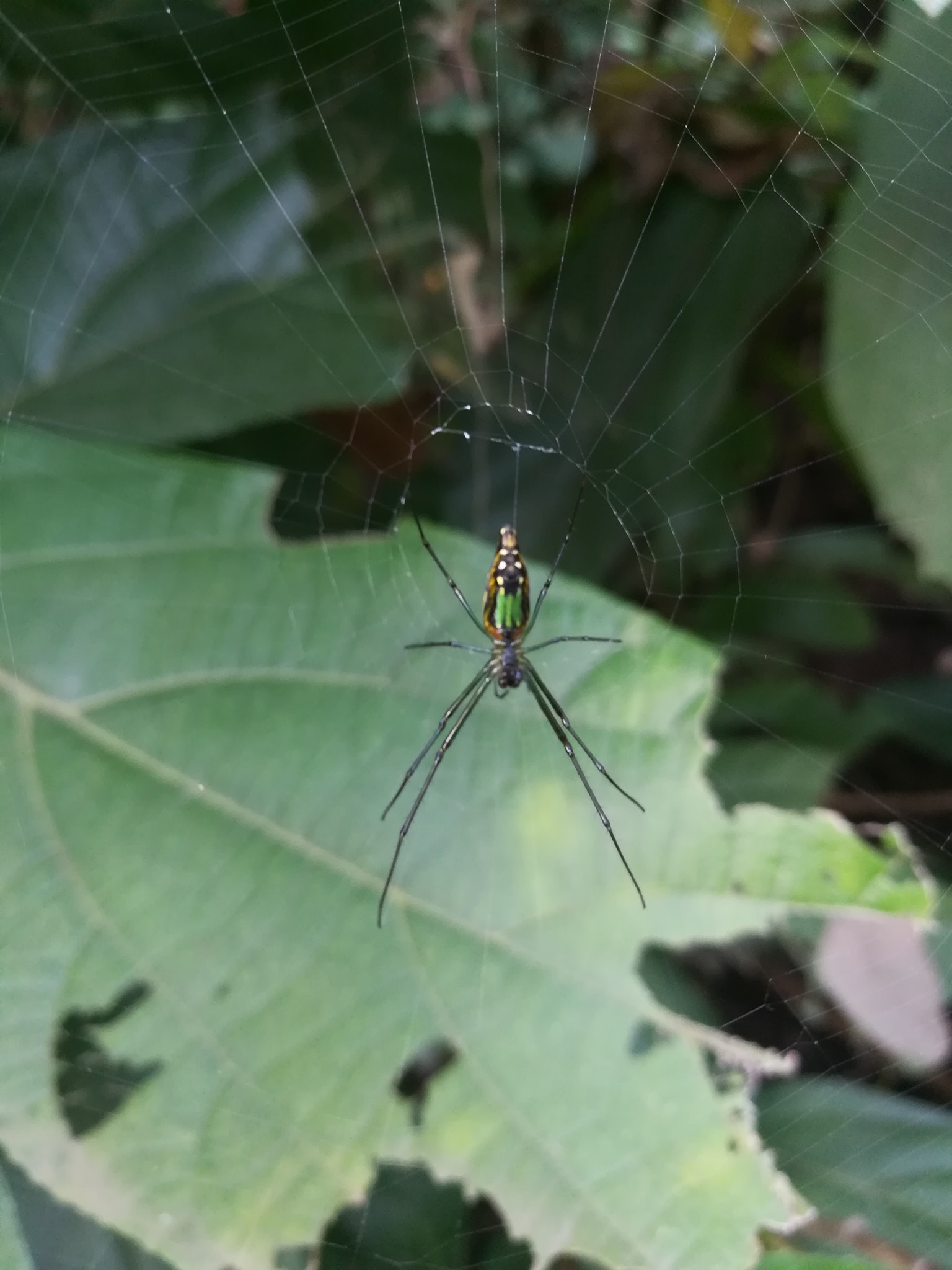 Image Not Found